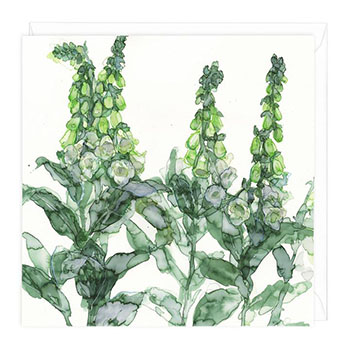 Card White Foxgloves